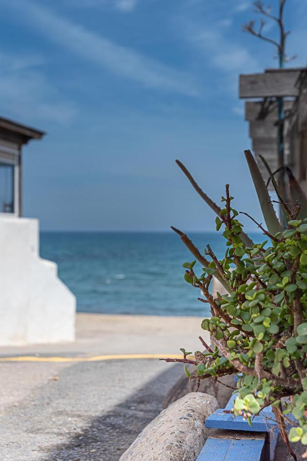 Coral Del Cabo Apartment ลาสเนกรัส ภายนอก รูปภาพ